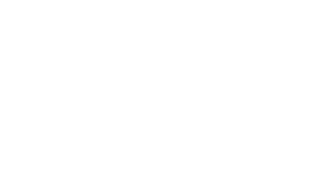 Italia & Associates LLP